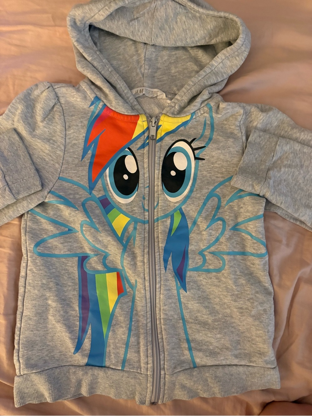 H&M Light Gray Kids Hoodie with Colorful Pony Graphic